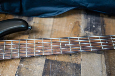 Ibanez EDB605 Ergodyne Bass 1999 Pewter 5 String w/ Bag